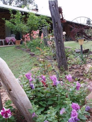 Twilight Grove Farm Esk Exterior foto